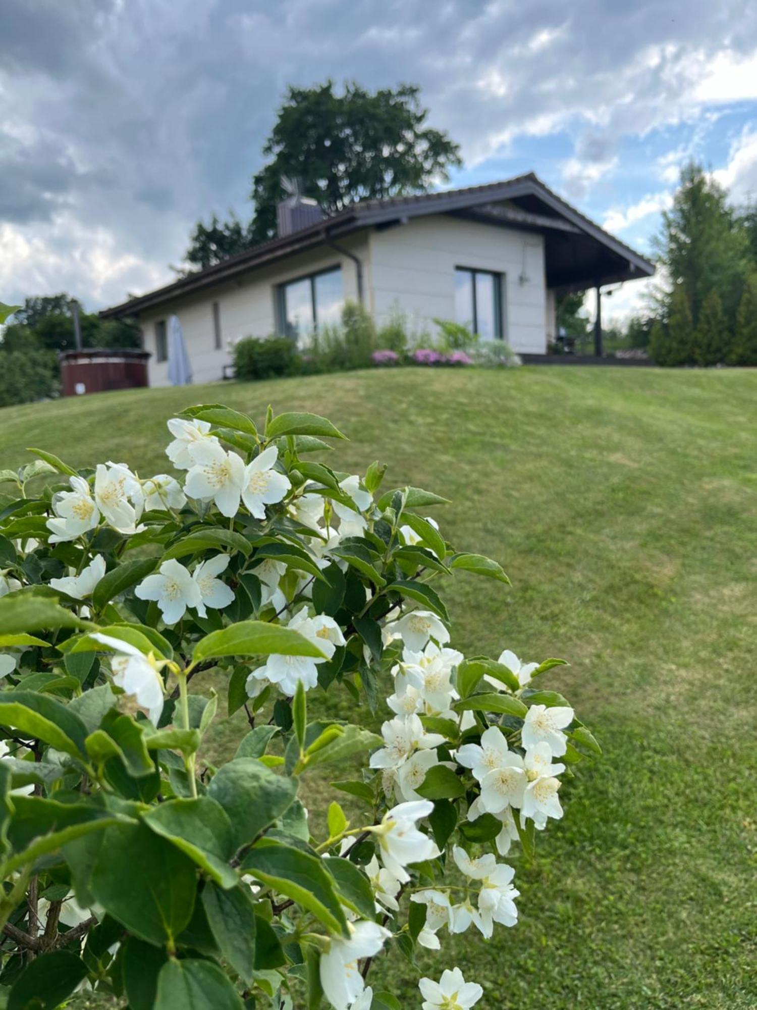 Vila Trakai Eksteriør billede
