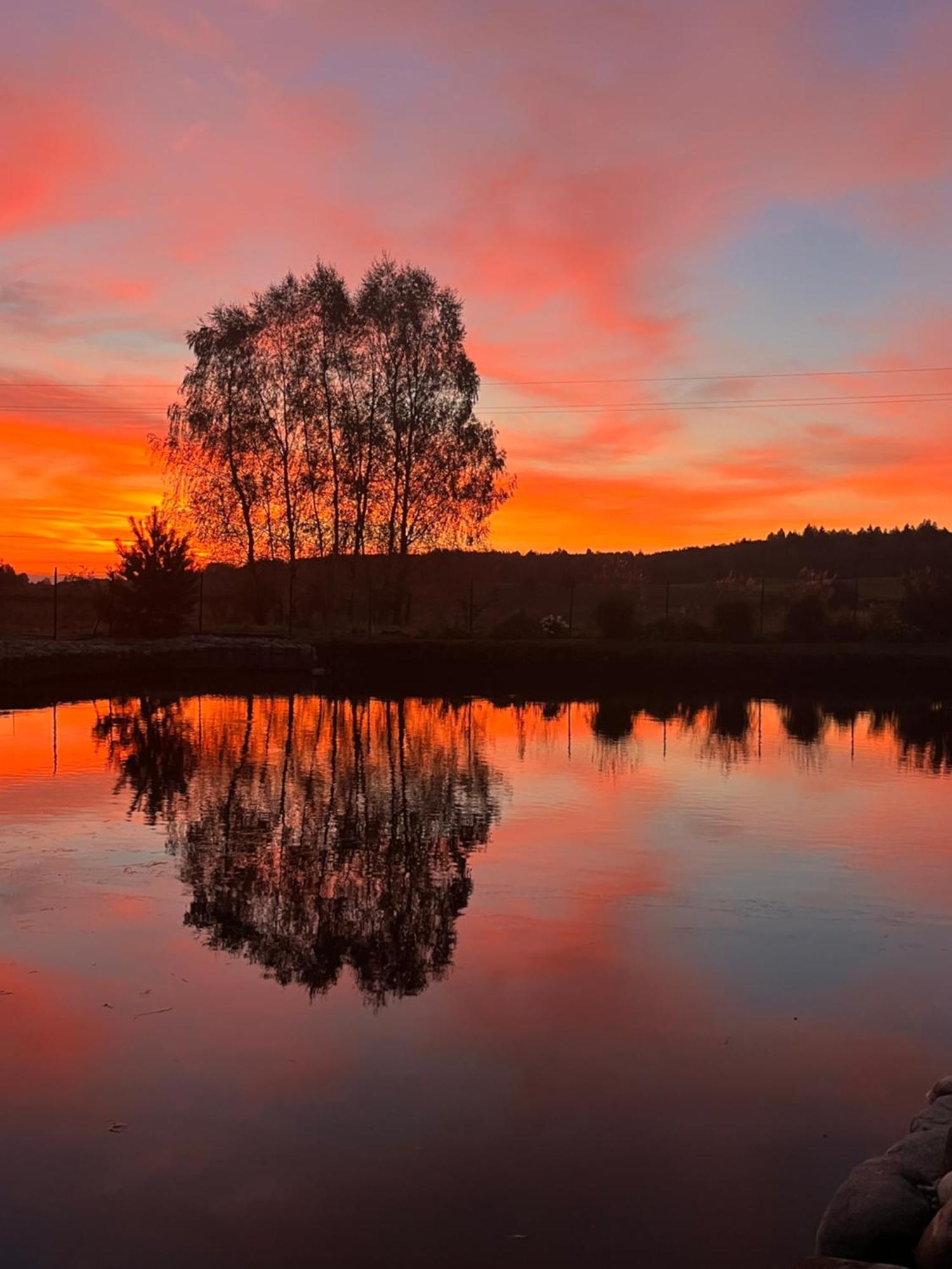 Vila Trakai Eksteriør billede